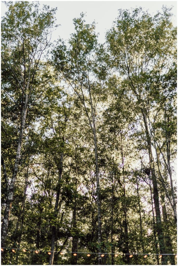 Florida Wedding Photographer - Backyard wedding inspiration - Love, Anneliese Photography