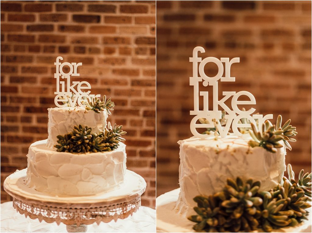 City Park New Orleans Wedding Cake Photos
