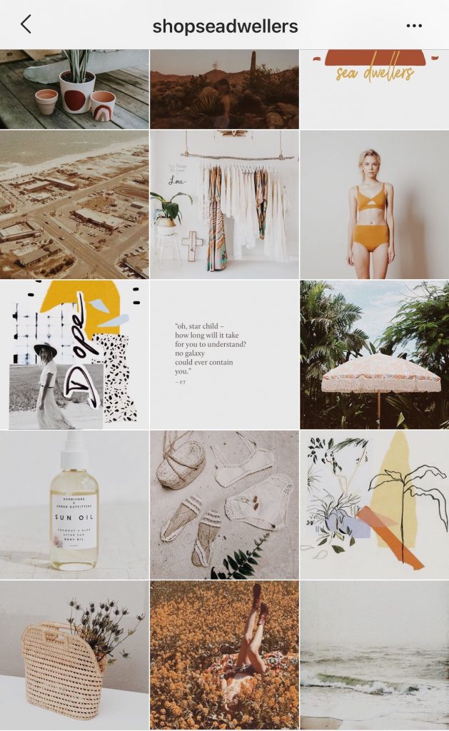 Shop Sea Dwellers Instagram