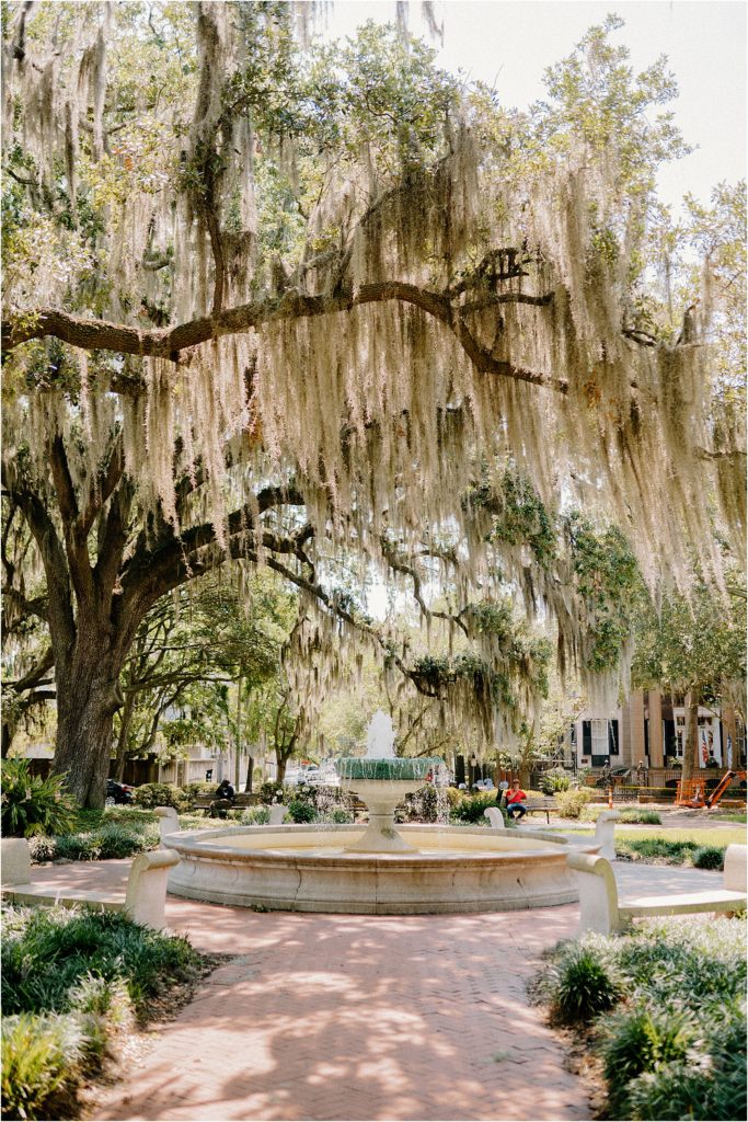 harper fowlkes house wedding savannah georgia orleans square