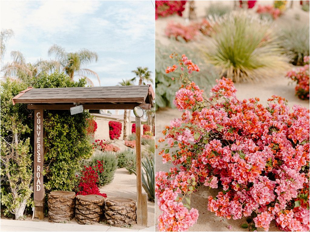 bride's family home wedding reception at backyard palm springs wedding venue