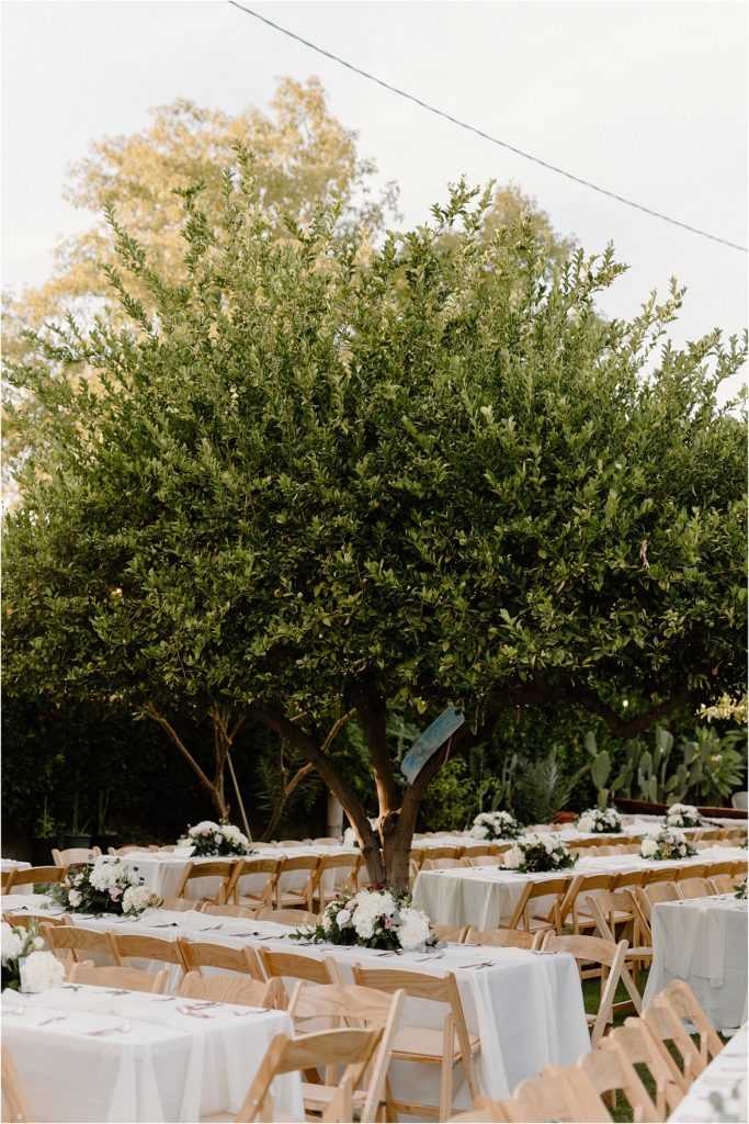 bride's family garden converted into backyard palm springs wedding venue