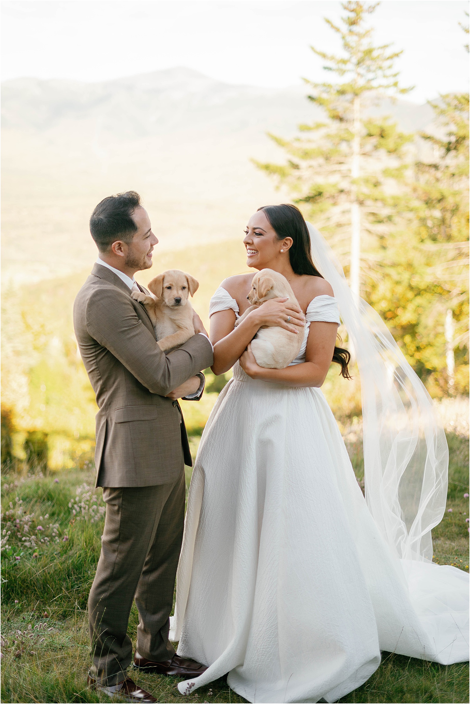 Rescue puppy bouquet at wedding in Bretton Woods, New Hampshire